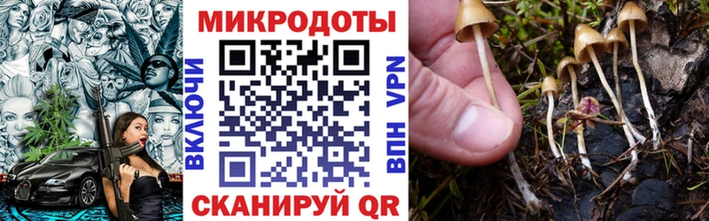 Псилоцибиновые грибы Psilocybe Купить Белово